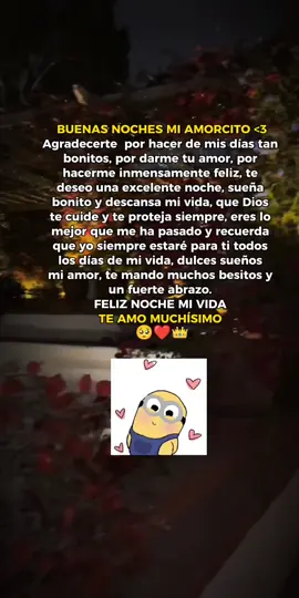 Buenas noches 🥺❤️ #fyp #viral #buenasnoches #miamorcito #feliznoche #foryou #parati #fypシ゚ #tededico #teamo #parejas #novios #dedicar #viralvideo #tiktok #ponmeenparati #Love #ponmeenparatitiktok #mivida #apoyamecontucorazon #like #dedicarvideos♡ #dale❤️ #noflop #buenasnoches♡ 