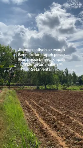 #katakatamaduraviral #pamekasanmadura #pejuangrupiah 