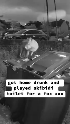 Bros friends are never gonna believe him #fyp #london #skibiditoilet #fox #halfterm #june #trump #beat #dejavu 