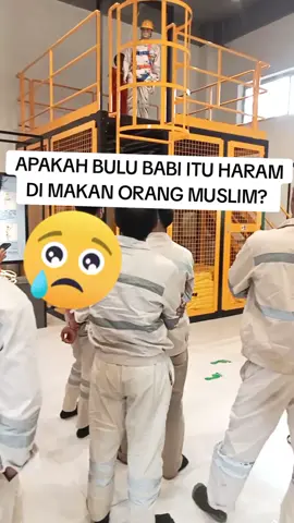 serius bertanya, kasihan aku yang belum terlalu ngerti #viral #tikotok 