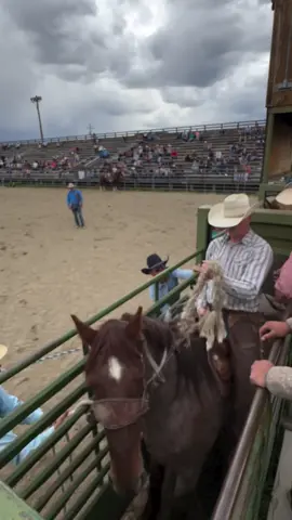 First ranch Bronc ride didn’t go as planned… my saddled came apart mid ride….as my cinch straps busted and lost the rein!  Absolutely loving that the summer rodeo season is here! 🤠🙌🏻 #rodeo #broncs #bullriding #montana #wrangler