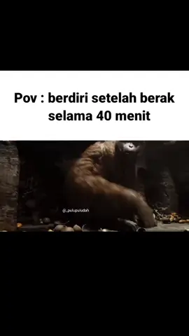 #memes #meme #fypシ #fyp #4u #foryou #bismillahfyp #lewatberanda #xyzbca #memestiktok 