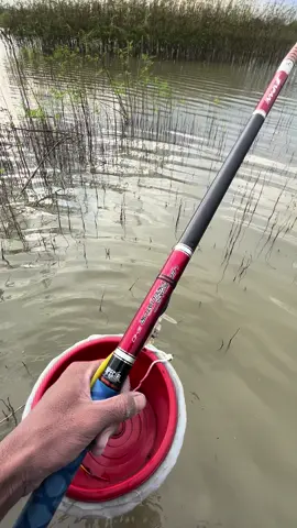 vibes pengangguran🙌🤪 #mancing #mancingstory #mancingliar #madiun24jam #fypp #kliwkliw #mancingmania #fypシ #waduknotopuro 
