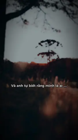Và Anh tự biết rằng mình là ai Có tư cách gì để mong…. ##foryou #nhac #music #nhactamtrang #stt_buồn_tâm_trạng #nhacbuon #buon 