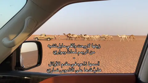 زينها لا روحت والفي مايل تشبه من الريم لمحات ومواري .  #foryou  #fyp 