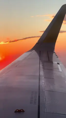 Mallorca in Luxury Style