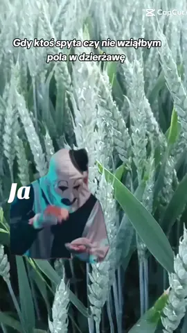 Tak 😄 #trend #Meme #MemeCut #CapCutMotivacional #CapCut #viral #wyswietlenia #rolnictwo #agroboy #polskigospodarz #agro #rolnicy #agriculture #dzierżawa #trending 