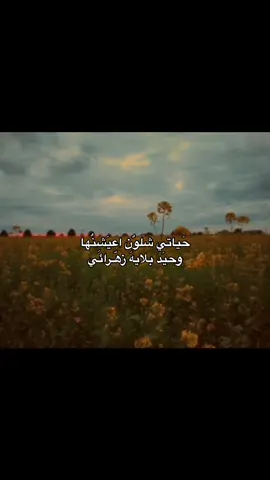بلايه زهرائي🥹. #باسم_الكربلائي #قصائد #مقاطع #explore #explore #explore #explore #explore #explore #explore #explore #explore #explore #explore #explore #explore #الشعب_الصيني_ماله_حل😂😂 #الشعب_الصيني_ماله_حل😂😂 #الشعب_الصيني_ماله_حل😂😂 #الشعب_الصيني_ماله_حل😂😂 #الشعب_الصيني_ماله_حل😂😂 #الشعب_الصيني_ماله_حل😂😂 #الشعب_الصيني_ماله_حل😂😂 #الشعب_الصيني_ماله_حل😂😂 #الشعب_الصيني_ماله_حل😂😂 
