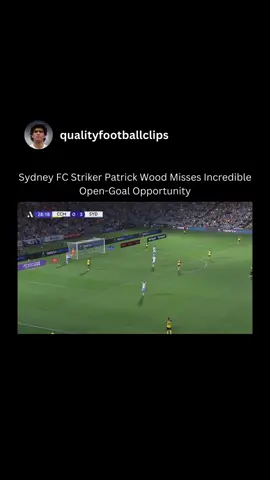 Sydney FC striker Patrick Wood will want to forget about this incredible missed goal opportunity against the Central Coast Mariners. #miss#fail#opengoal