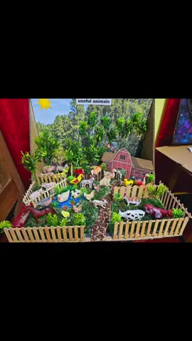 #guyanesetiktok #scienceproject #farm #animals  #fyp #fyp #foryou #foryoupage  thank you for the order 🥰