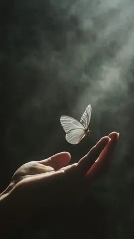 #CapCut #ដោះលែង #សេរីភាព #🥹 #💔 #ជួយចុចfollowនិងអោយបេះដូងផង 