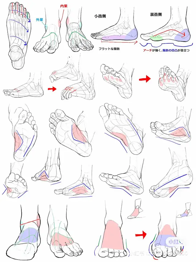 Cre: Xiaohongshu #sachdayve #hocve #drawingtutorial #drawing #artbook #anatomy #drawingtutorial #vetranh #drawingfeet 