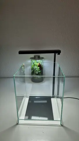 Unboxing several new Aquariums and lights for shrimps, snails etc  #aquarium #plants #aquascape #fishtank