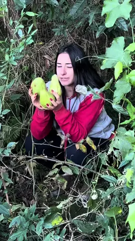 O lado bom de morar no sitio , claro que tem muitoa lado kkkk#sitio #mocadaroca🤠😍🙏🤠😍🙏🤠 #rocaafazenda 