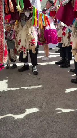 Un Qollita en Qoyllority, el integrante mas joven de los Capaq Qolla de Ccatcca  #qoylloritty #cusco #dance #fyppppppppppppppppppppppp 