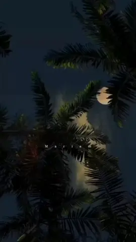 #الرياض #راحة نفسية#أناشيد بدون موسيقى#تصويري