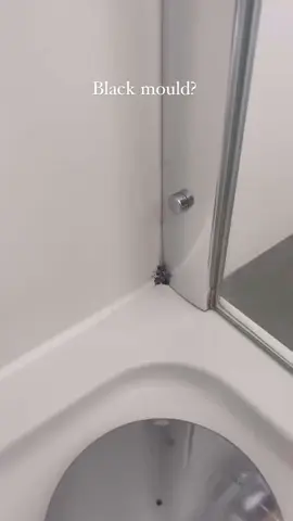 Here’s how to rid mould without using chlorine bleach. Using chlorine bleach on mould will get rid of it but it won’t kill it as it doesn’t kill the spore meaning it will eventually come back. To get rid of the mould for good try this instead: 1. Mix 1 cup of 3% hydrogen peroxide with 1tsp tea tree essential oil in a spray bottle  2. Spray on the mould until soaked 3. Cover with tissue and spray again until the tissue is soaked 4. Remove the tissue and scrub (if needed)  5. Wipe/rinse  . If you’re making the solution to keep, then making it up into a dark bottle is better as hydrogen peroxide is reactive to light so this will prevent the hydrogen peroxide decomposing.  Also when dealing with mould, always wear gloves or wash your hands immediately after treating.  . #CleanTok #cleantok101 #cleantokuk #cleaningaccount #cleaningmotivation #cleaningtips #bathroomclean 