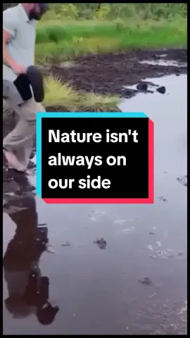 Watch people hilariously fail at connecting with nature. These funny moments prove nature isn't always on our side!