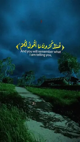 تلاوة من سورة غافر للقارئ هيثم الدخين. (فستذكرون ما أقول لكم وأفوض أمري إلى الله إن الله بصير بالعباد) #ايات_قرآنية #ايات #قران_كريم #القارئ #هيثم_الدخين #تلاوات #القارئ_هيثم_الدخين #quran #quran_alkarim #reciting #reciting_quran #tubephilia 