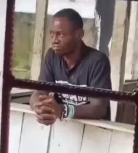 #parati #domingo domingo de mirar a pelidura