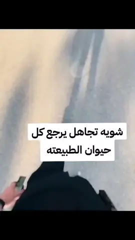 #الخفاجي #الذهبيه_اسياد_الرجال# #الذهبيه_اسياد_الرجال# #صحتين_وعافية #الذهبيه_اسياد_الرجال #الخفاجي #الحله#الناصريه #البصره#البصره_شط_العرب #الذهبيه_اسياد_الرجال#الخفاجي#الذهبيه_عنوان_التضحيه 