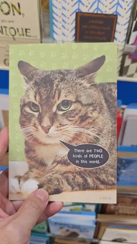 There are two kinds of people. #cat #funny #catpeople #catlover #fy #fyp 