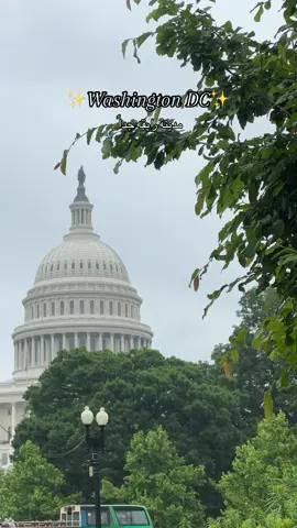 #واشنطن_دي_سي #مبتعثين_امريكا #fyp 