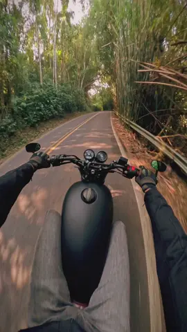 There we go ! #royalenfield #interceptor650 #POV #motorcycle #motorcycles #motos #motociclismo #motorbike #moto #ridewithjtbrazil #road #motorcycleadventure #royalenfieldbrasil #sunlight #goldenhour #riding