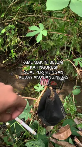 #kijingbetine 