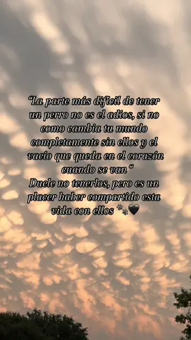 Dedicado a todos nuestris angeles de cuatro patas #memori #perros #parati #fypシ゚viral #dogs 