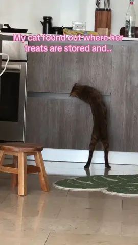 the “u tryna laugh???” part sent me 