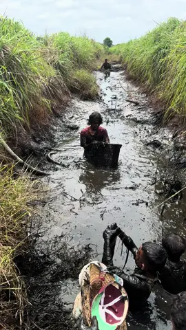 Ikan tangkap #fypシ 