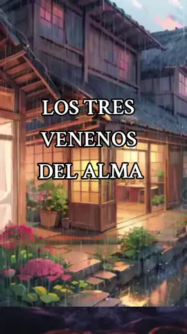 LOS TRES VENENOS DEL ALMA. #alma #consciencia #espiritualidad #crecimientopersonal #expansiondeconciencia #apego #ego #ignorancia #venenos