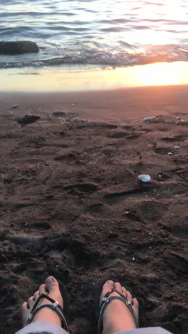 Synyster melodymu begitu indah#fyp #seizetheday #avengedsevenfold #senja #pantai #synystergates 