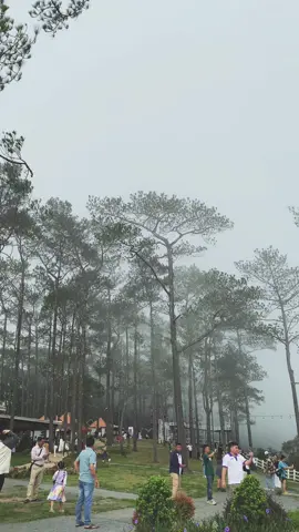 #ទេសភាពព្រៃភ្នំ🍃☘️