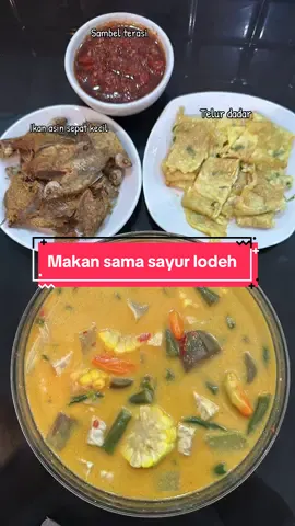 Makan sama sayur lodeh, telur dadar, ikan asin & sambel terasi masyaallah enak pisan👍🏻🤤🔥 #masakanrumahan #masakansimple #hobimasak #sayurlodeh #fypage #fypシ゚viral 