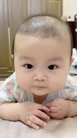 Cô có mún nhận nuôi con mèo dưỡng thê này hongg😝😝 #chipbae #nhaviaembebubam #nhaviacoembe #nhaviaembedangyeu 