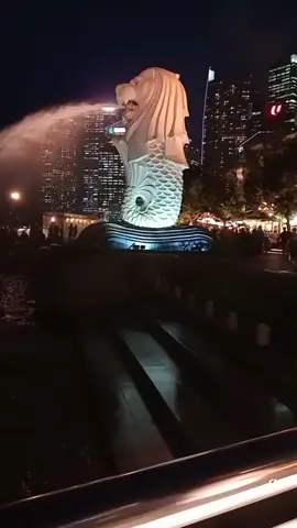 Suasana malam hari di Marlion Park. Singapore... syukron jazaakumullah kak... alhamdulillah tdk hanya cerita dibuku akhirnya bisa belajar langsung di alam nyata.... 
