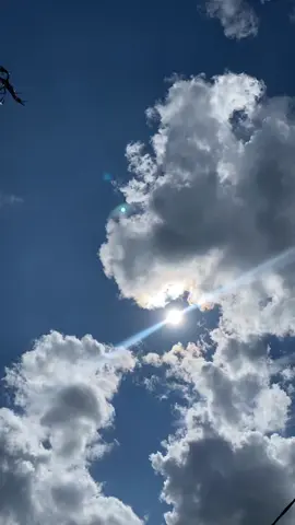 صدقني، أنا لست بهذا الهدوء، كل ما في الأمر أنني أحاول التحكم في مشاعري 