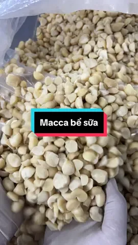 Hạt Macca bể sữa nhà Minh Cường #macca #hatlamsua #maccanausua #hatmaccadaklak #hatmacca 