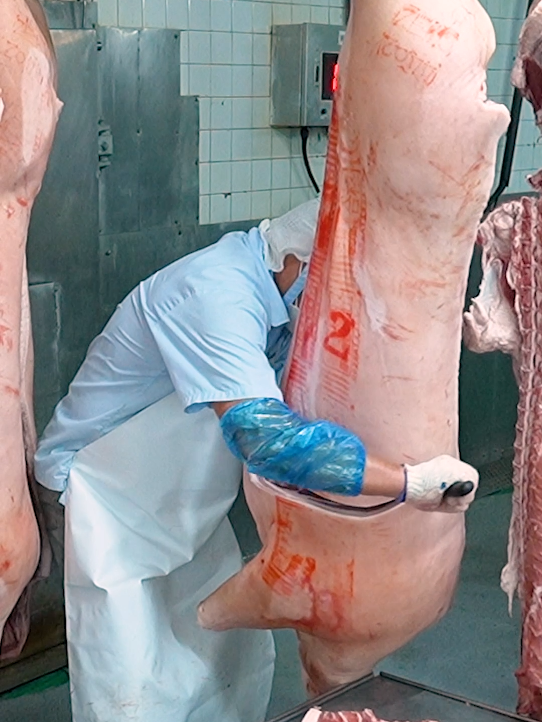 Takasaki Ham Processing in Pork Factory #台畜 #台灣農畜產工業股份有限公司 #pork #foodfactory #processing
