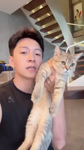 Thấy trai đẹp bao giờ chưa? Trai đẹp và mèo đẹp chào cả nhà nha #ngokienhuy #meomeo #cat #mèo #mèođẹp #traiđẹp #thaytraidepbaogiochua 