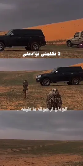 لا تكلمني توادعني ‏الوداع ارجوك ما طيقه .. #fyp #fypシ #شعب_الصيني_ماله_حل 