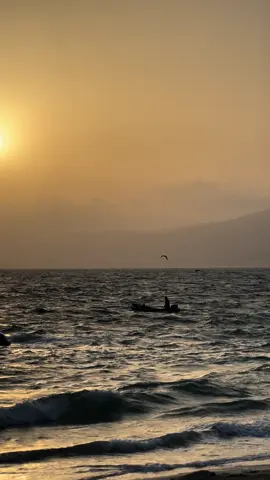 ‏عوِّد نفسك ع الفرح حتى تعتاد هي عليك، وأشعر نفسك بالأمل حتى تجد الدنيا بين يديك#مرباط_عُمان #ظفار #موسيقى #اكسبلور #fypシ #viral #oman🇴🇲 #mirbat #s3s5s 