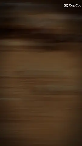 tets thử xe đường gồ ghề 😄😄 #xecongnongminirc🚜😁 #xecongnongmini2caurc🚜😁 #daklak47 