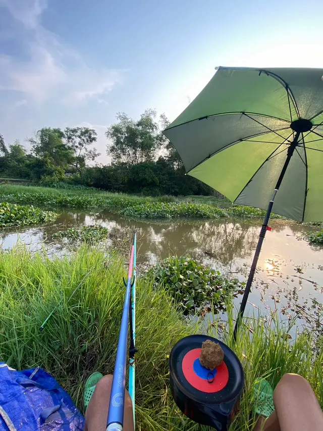 KIẾM CÁI MÔN GÌ CHƠI ĐÂY MỌI NGƯỜI #caucatunhien #caucagiaitri #fishing 