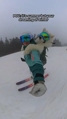 We love snow dog szn #samoyed #dogsoftiktok #samoyedsoftiktok #snow #winter 