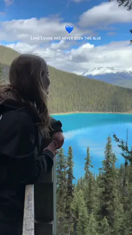 June 2nd, 2024 📍Lake Louise ✨ Wanna catch this color? Hike the Fairmont Viewpoint Trail. It is a super short hike that makes you witness this stunning view!! Dont miss out, this was the first time i caught this color there (it is usually more of a baby blue) 💙 #lakelouise #explorealberta #mountaingirl #canadianrockies #travelcanada #bluelakes #viral 