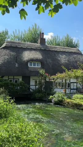 Cottagecore dreams #cottagecore #greenaesthetic 