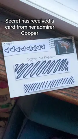 She hasn’t been feeling well, so Cooper sent a card - he feels bad he couldnt deliver it personally @tiktoxicologist #pigeon #petpigeon #pigeontok #PetsOfTikTok #petbird 